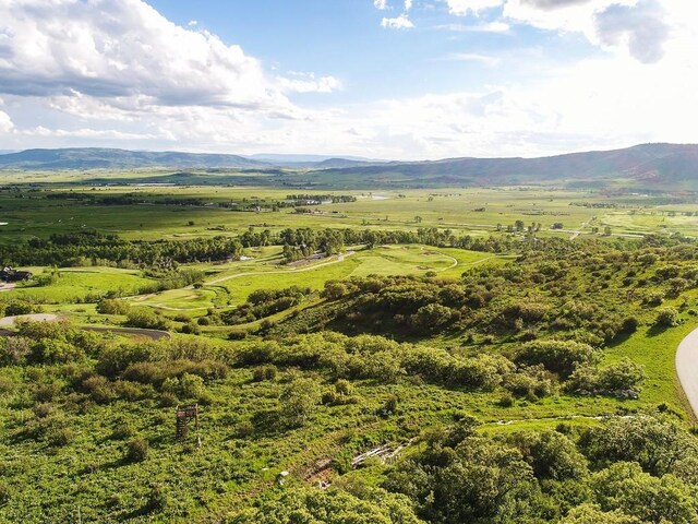 34460 Panorama Dr, Steamboat Springs, CO 80487 - photo 2