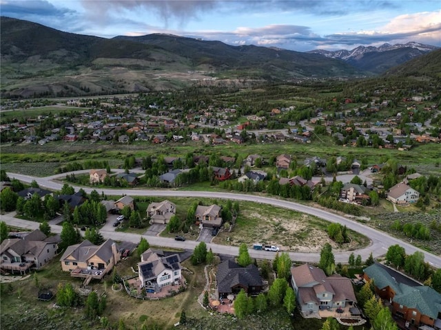 70 Lone Wolf Ct, Dillon, CO 80435 - photo 46