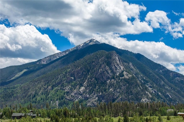 view of mountain feature with a wooded view