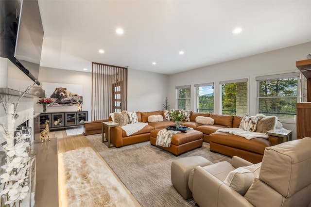 456 Forest Hills Dr, Breckenridge, CO 80424 - living room with recessed lighting and light wood finished floors