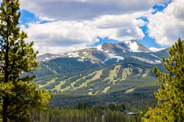456 Forest Hills Dr, Breckenridge, CO 80424 - photo 34