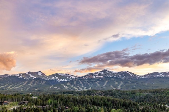 456 Forest Hills Dr, Breckenridge, CO 80424 - view of mountain background with a heavily wooded area