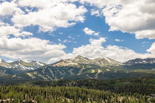 456 Forest Hills Dr, Breckenridge, CO 80424 - view of mountain backdrop with a forest