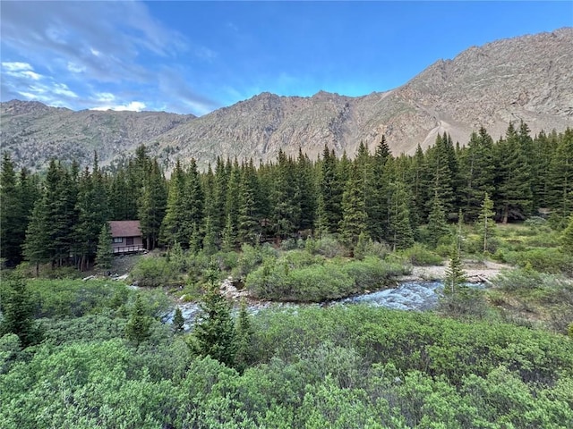 2885 Stevens Gulch Rd, Silver Plume, CO 80452