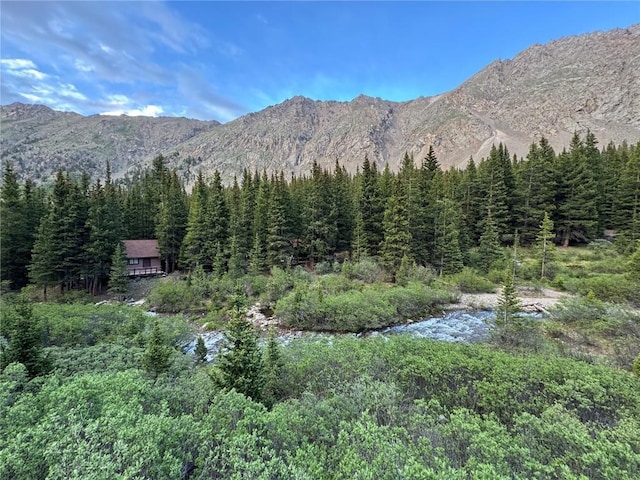 2885 Stevens Gulch Rd, Silver Plume, CO 80452