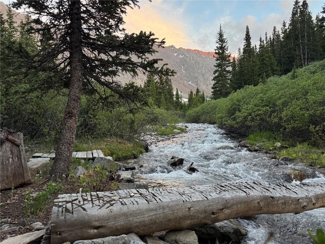 2885 Stevens Gulch Rd, Silver Plume, CO 80452
