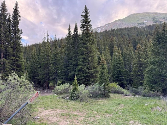 2885 Stevens Gulch Rd, Silver Plume, CO 80452