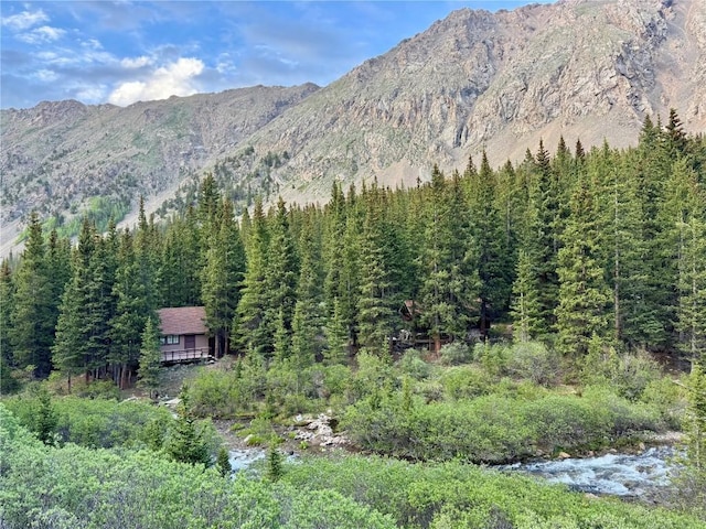 2885 Stevens Gulch Rd, Silver Plume, CO 80452