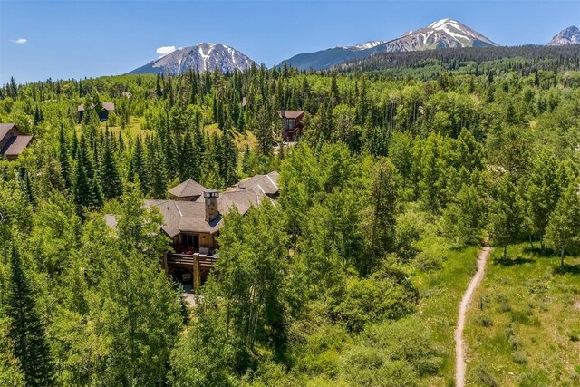 170 Arnica Ln, Silverthorne, CO 80498 - photo 47