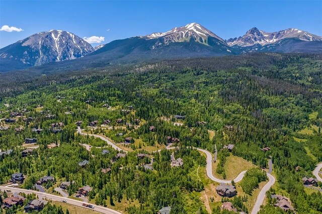 170 Arnica Ln, Silverthorne, CO 80498 - photo 48