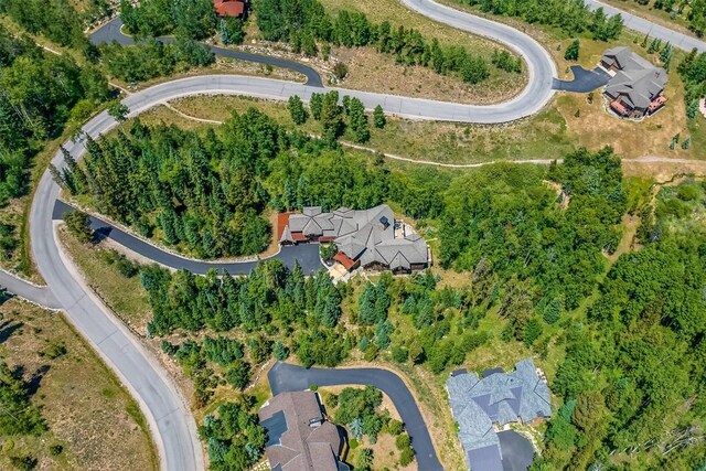 170 Arnica Ln, Silverthorne, CO 80498 - photo 49