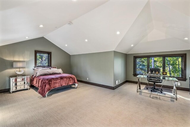 170 Arnica Ln, Silverthorne, CO 80498 - photo 42