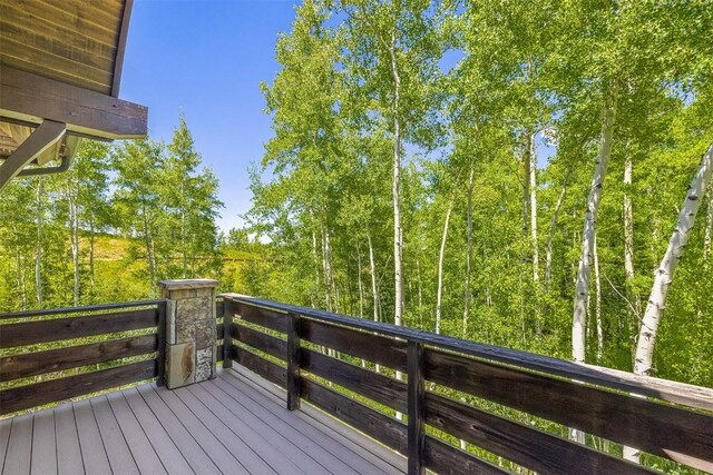 170 Arnica Ln, Silverthorne, CO 80498 - photo 24