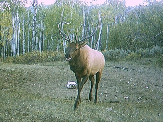 TBD County Road 129, Steamboat Springs, CO 80487 - photo 4
