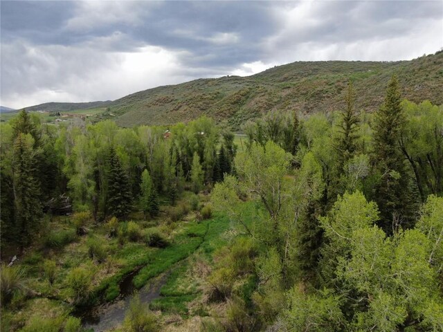 TBD County Road 129, Steamboat Springs, CO 80487 - photo 17
