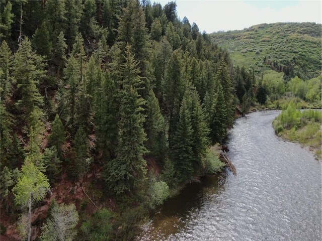 TBD County Road 129, Steamboat Springs, CO 80487 - photo 6
