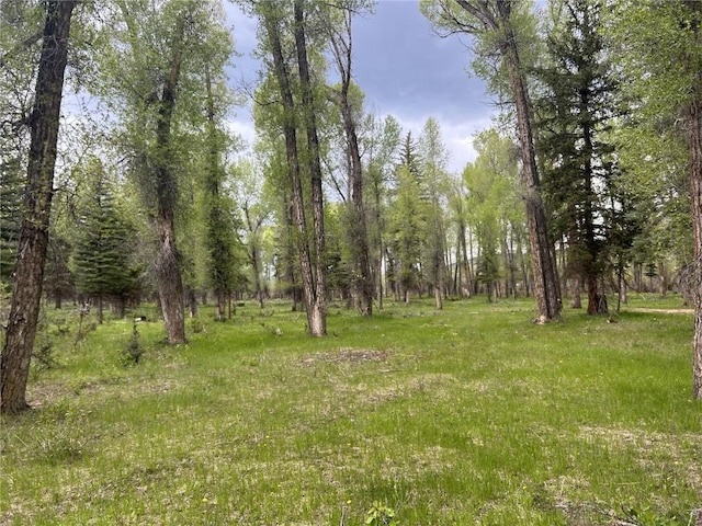 TBD County Road 129, Steamboat Springs, CO 80487 - photo 2