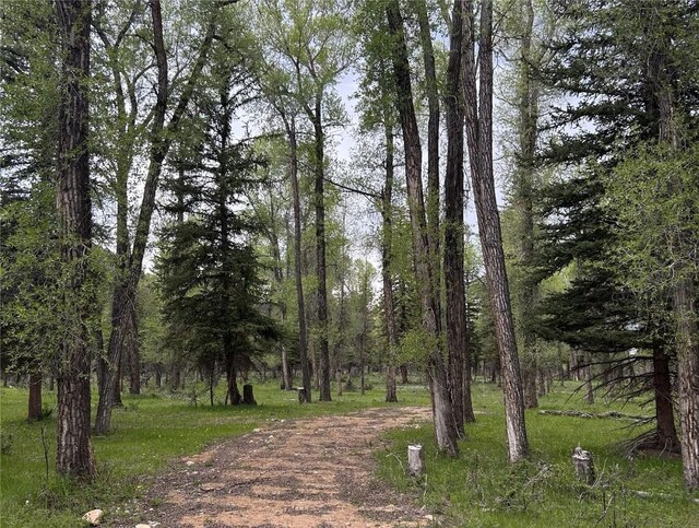TBD County Road 129, Steamboat Springs, CO 80487 - photo 12