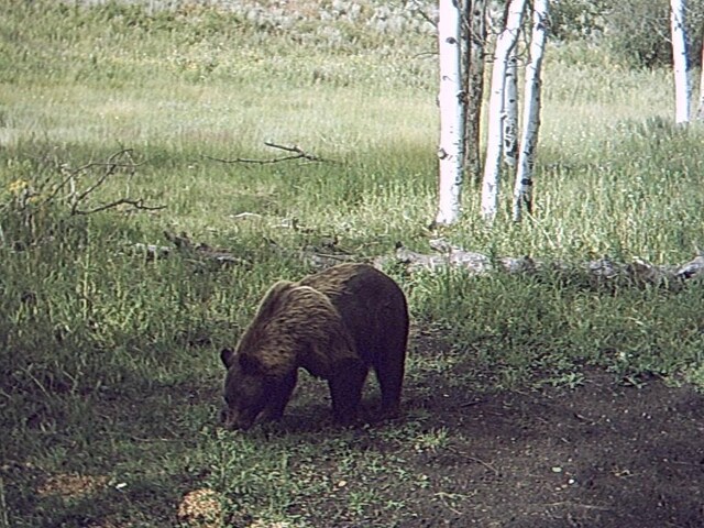 TBD County Road 129, Steamboat Springs, CO 80487 - photo 13