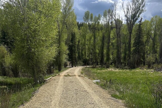 TBD County Road 129, Steamboat Springs, CO 80487 - photo 10