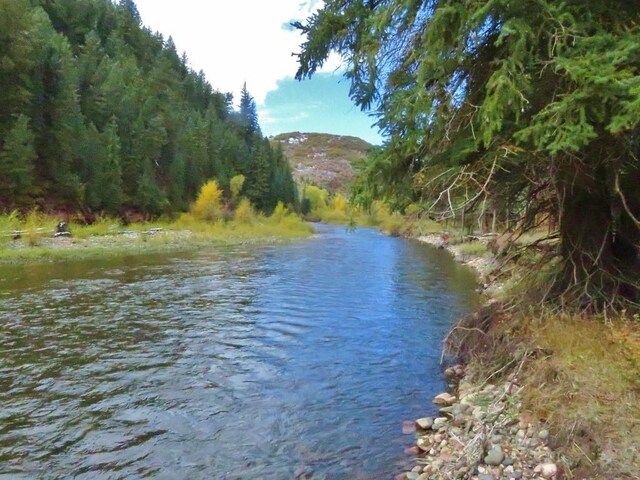 TBD County Road 129, Steamboat Springs, CO 80487 - photo 14