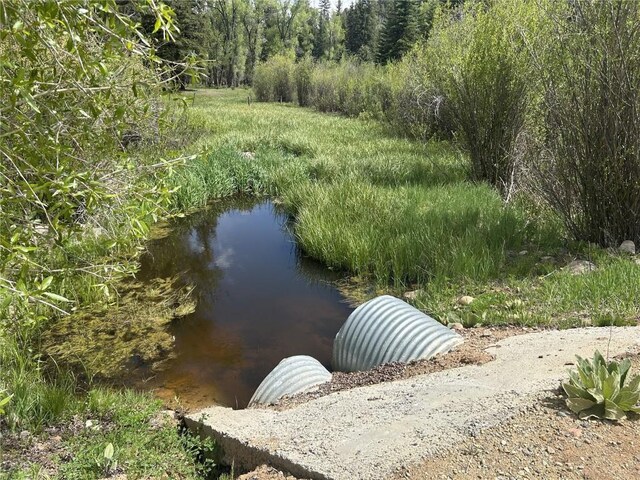 TBD County Road 129, Steamboat Springs, CO 80487 - photo 9
