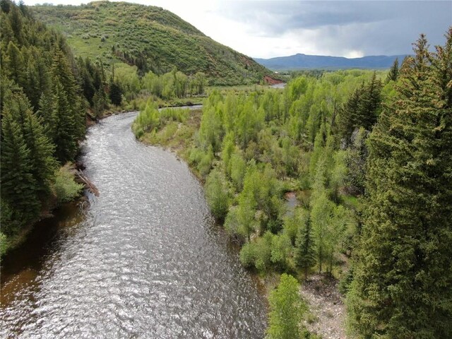 TBD County Road 129, Steamboat Springs, CO 80487 - photo 5