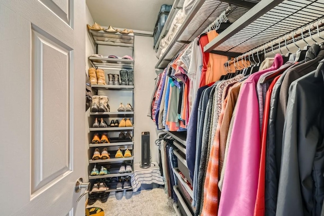 320 Kestrel Ln Unit 320, Silverthorne, CO 80498 - walk in closet with carpet flooring