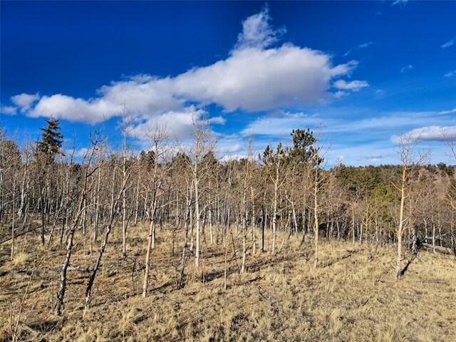 83 Killdeer Trl, Como, CO 80432 - photo 16
