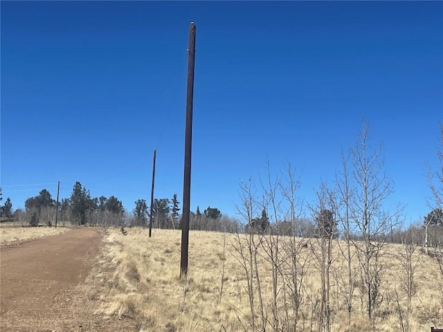 83 Killdeer Trl, Como, CO 80432 - photo 3