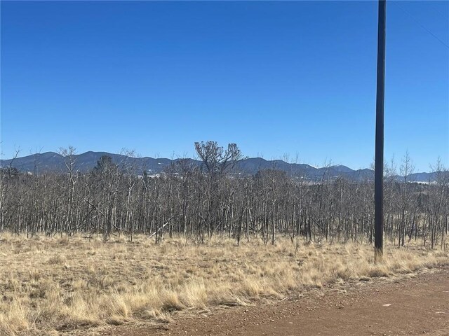 83 Killdeer Trl, Como, CO 80432 - photo 14