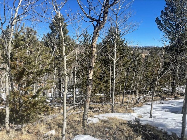 83 Killdeer Trl, Como, CO 80432 - photo 13