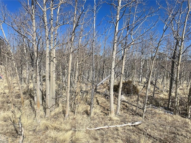 83 Killdeer Trl, Como, CO 80432 - photo 17