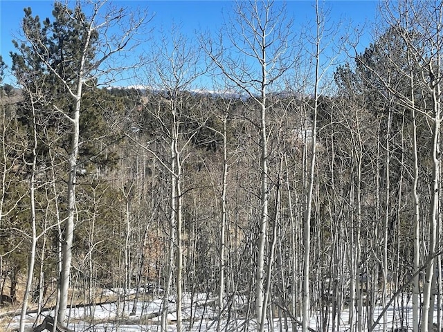 83 Killdeer Trl, Como, CO 80432 - photo 7