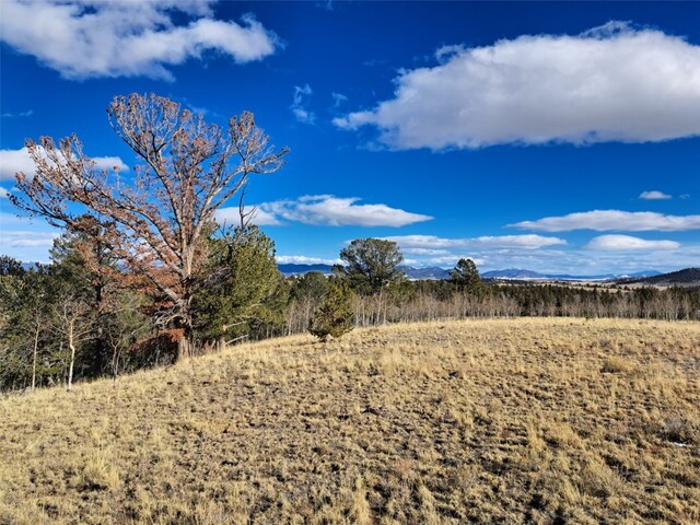 83 Killdeer Trl, Como, CO 80432 - photo 5
