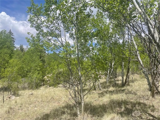 322 Kiowa St, Como, CO 80432