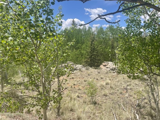 322 Kiowa St, Como, CO 80432