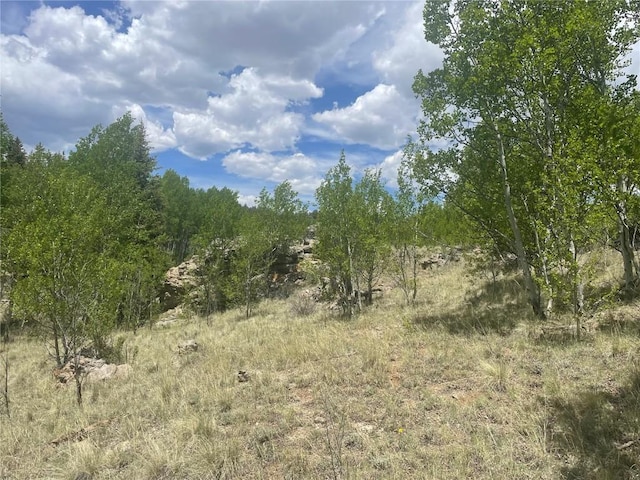 322 Kiowa St, Como, CO 80432