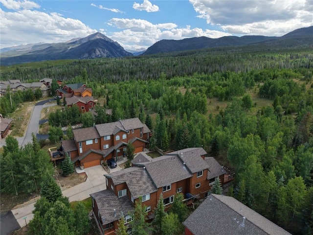 67 Fox Hollow Ln Unit 6B, Silverthorne, CO 80498 - photo 45