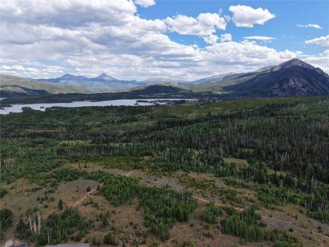 67 Fox Hollow Ln Unit 6B, Silverthorne, CO 80498 - photo 48