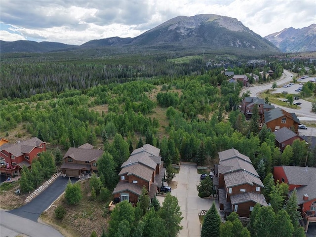 67 Fox Hollow Ln Unit 6B, Silverthorne, CO 80498 - photo 43