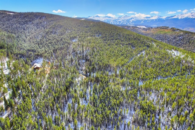 653 Summit Gulch Rd, Breckenridge, CO 80424 - photo 11