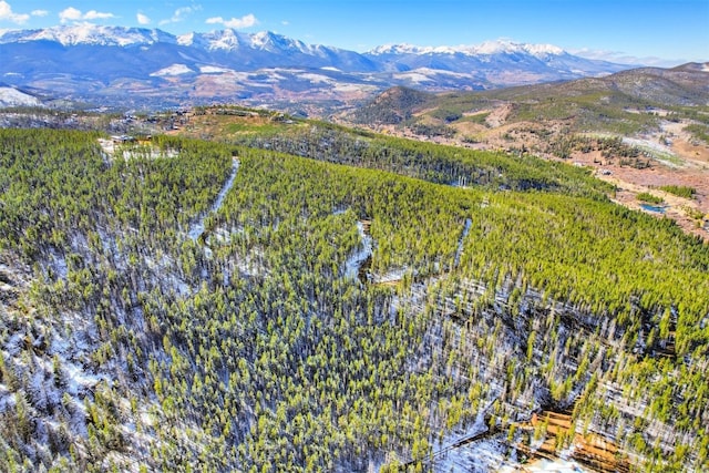 653 Summit Gulch Rd, Breckenridge, CO 80424 - photo 10