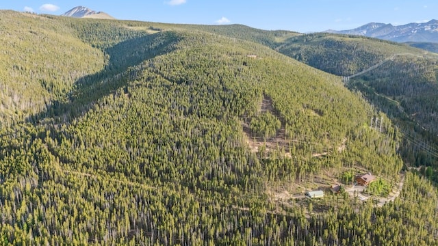 653 Summit Gulch Rd, Breckenridge, CO 80424 - photo 2