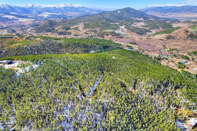 653 Summit Gulch Rd, Breckenridge, CO 80424 - photo 9
