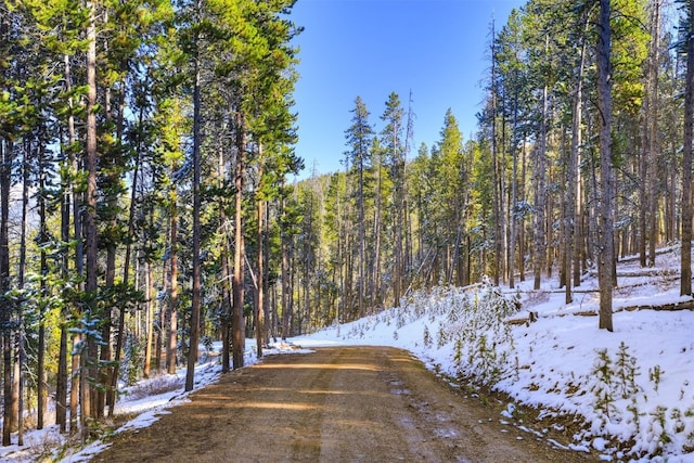 653 Summit Gulch Rd, Breckenridge, CO 80424 - photo 18