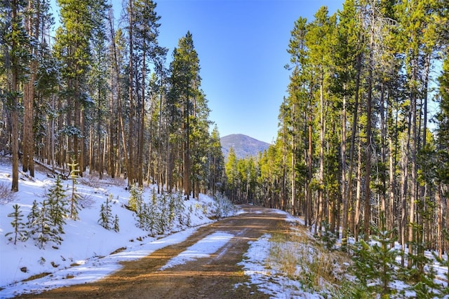 653 Summit Gulch Rd, Breckenridge, CO 80424 - photo 19
