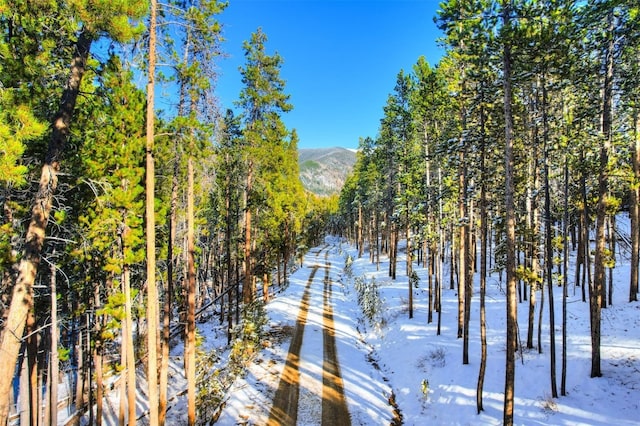 653 Summit Gulch Rd, Breckenridge, CO 80424 - photo 16
