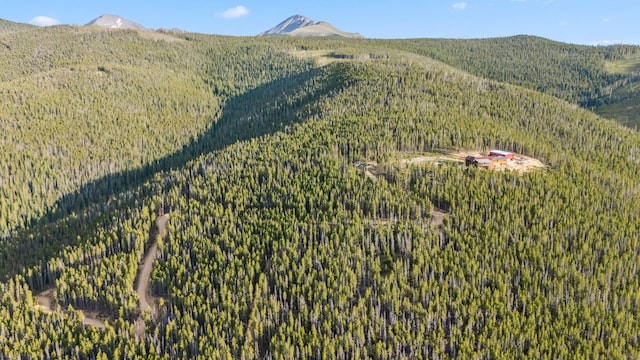 653 Summit Gulch Rd, Breckenridge, CO 80424 - photo 5