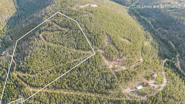 653 Summit Gulch Rd, Breckenridge, CO 80424 - photo 1